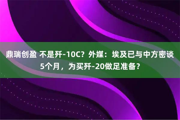 鼎瑞创盈 不是歼-10C?外媒:埃及已与中方密谈5个月,为买歼-20做足准备?