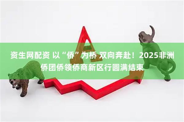 资生网配资 以“侨”为桥 双向奔赴！2025非洲侨团侨领侨商新区行圆满结束