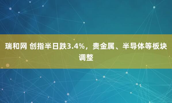 瑞和网 创指半日跌3.4%，贵金属、半导体等板块调整