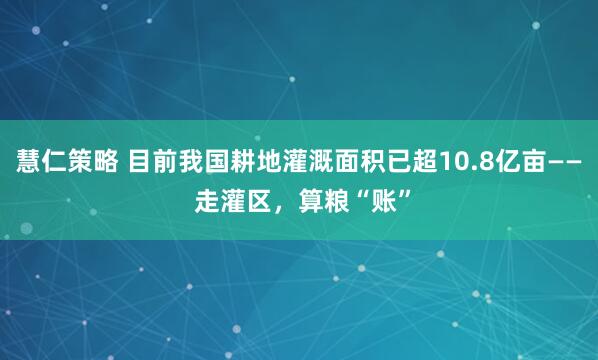 慧仁策略 目前我国耕地灌溉面积已超10.8亿亩—— 走灌区,算粮“账”