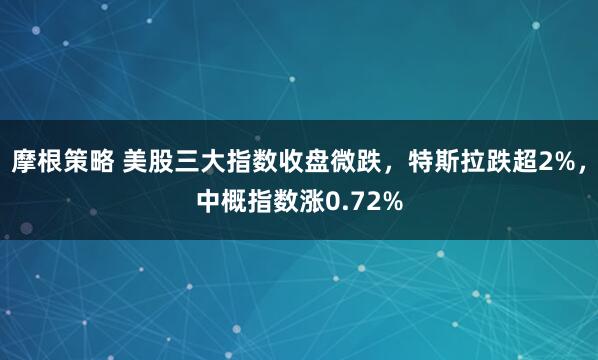 摩根策略 美股三大指数收盘微跌，特斯拉跌超2%，中概指数涨0.72%